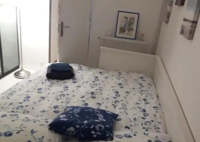 Chambre Chez L\'Habitante Avec Salle De Bain Et Cuisine Communes - Presence D\'Un Chat